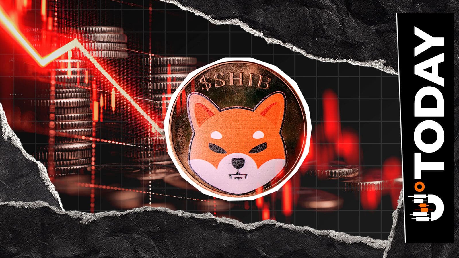 -228 Billion SHIB: Shiba Inu Coin Supply on Exchange Continues to Squeeze