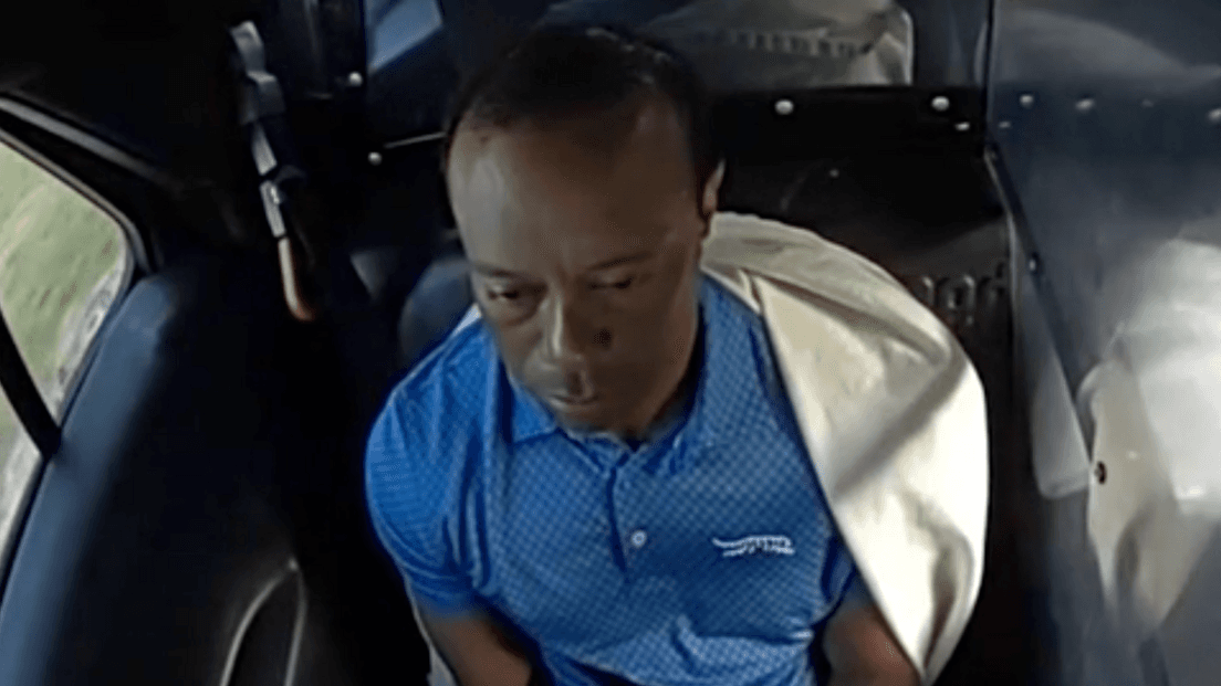 Tiger Woods sits in the back of a police car after being arrested
