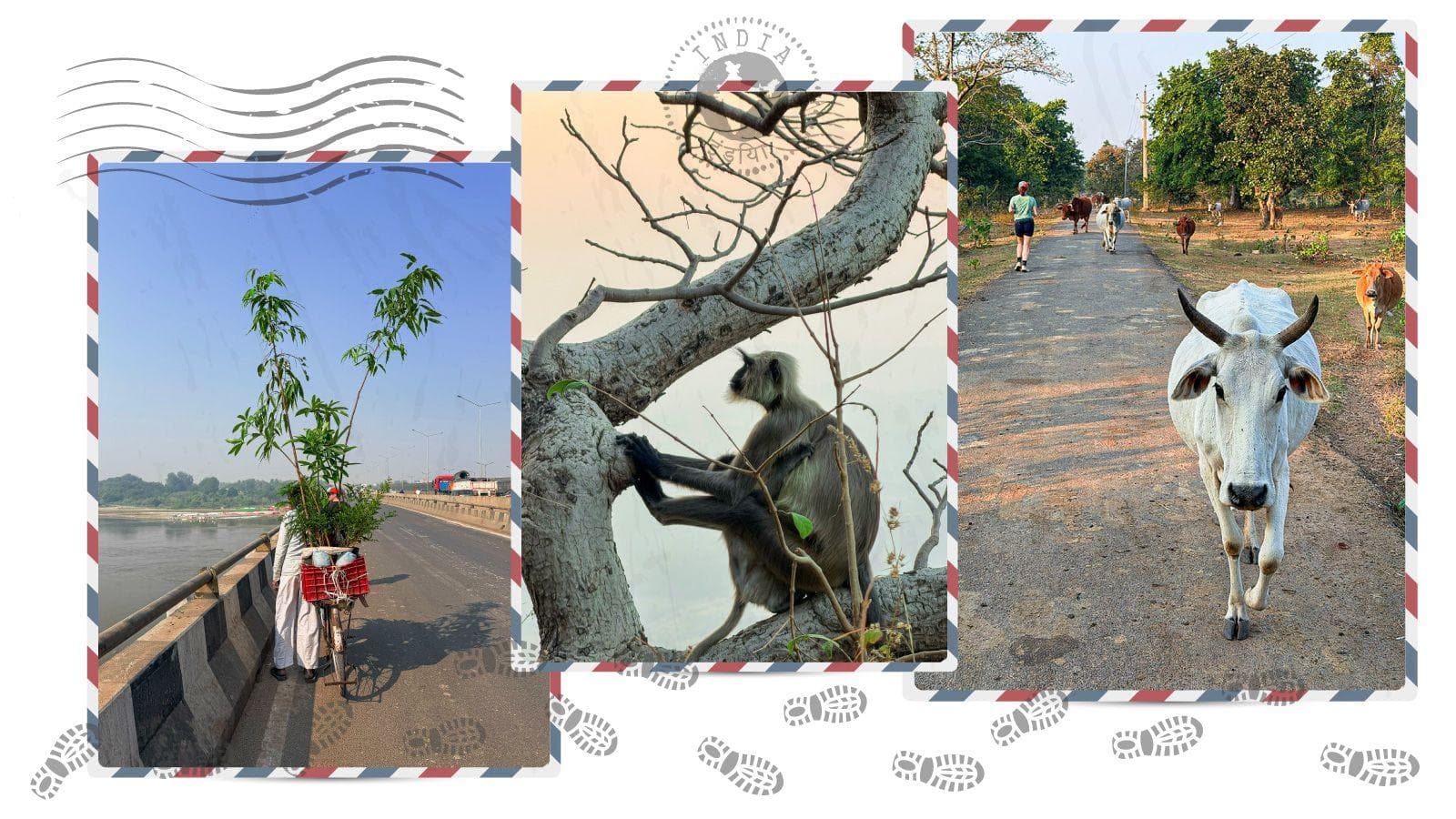 Run a marathon? Try 100 in 100 days