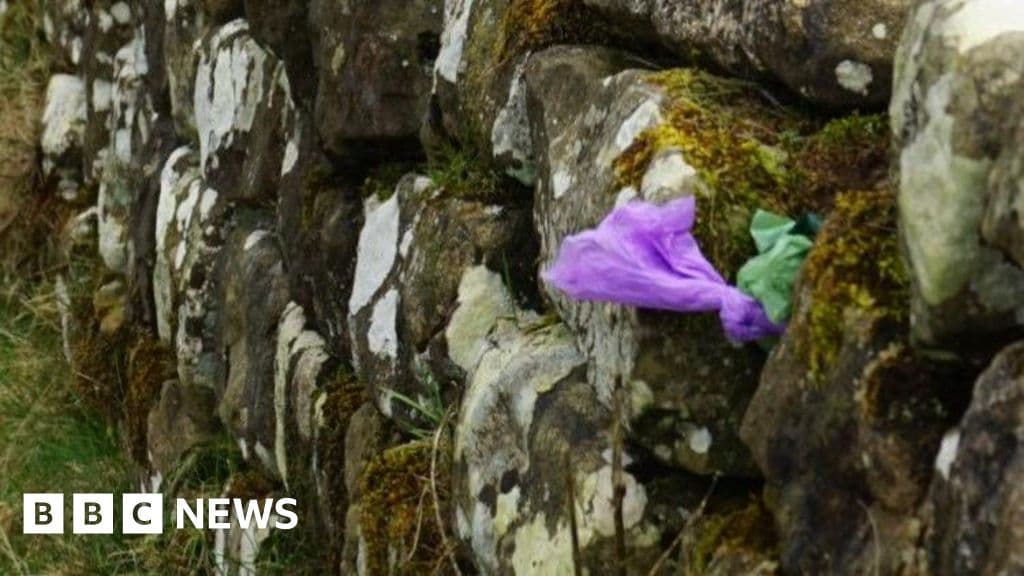 'Lazy' dog owners hide poo bags in Hadrian's Wall