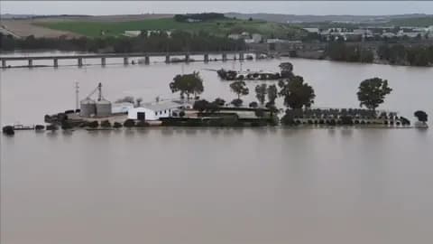 Buildings and trees in high flood water