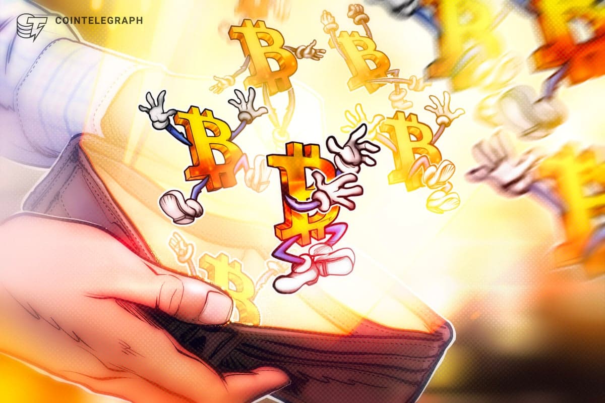 Bitcoin wallets absorb 4.37M BTC as network activity flips to 'bull phase’