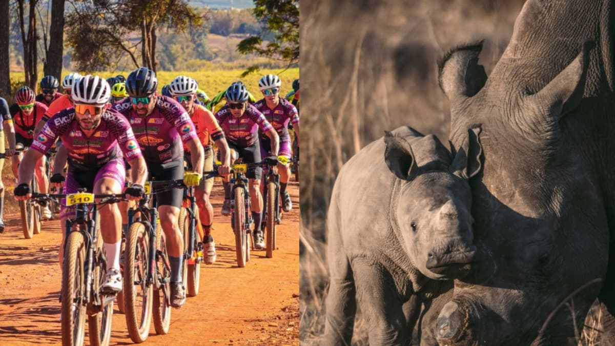 La carrera del Nilo: el ultrafondo ciclista en Uganda que permite bautizar a un rinoceronte blanco