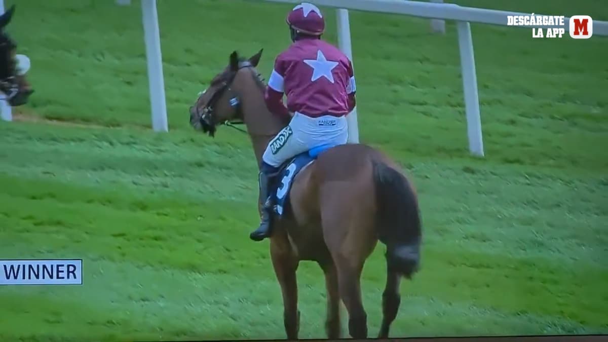 Indignación por la muerte de 'Gold Dancer' tras romperse la espalda y forzarle a continuar para ganar