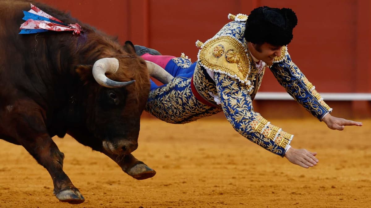 Morante de la Puebla, herido muy grave en Sevilla