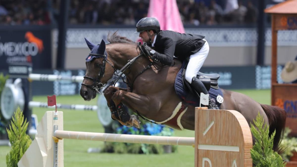 Acusan a un medallista olímpico de vender el semen congelado de su caballo a espaldas del dueño