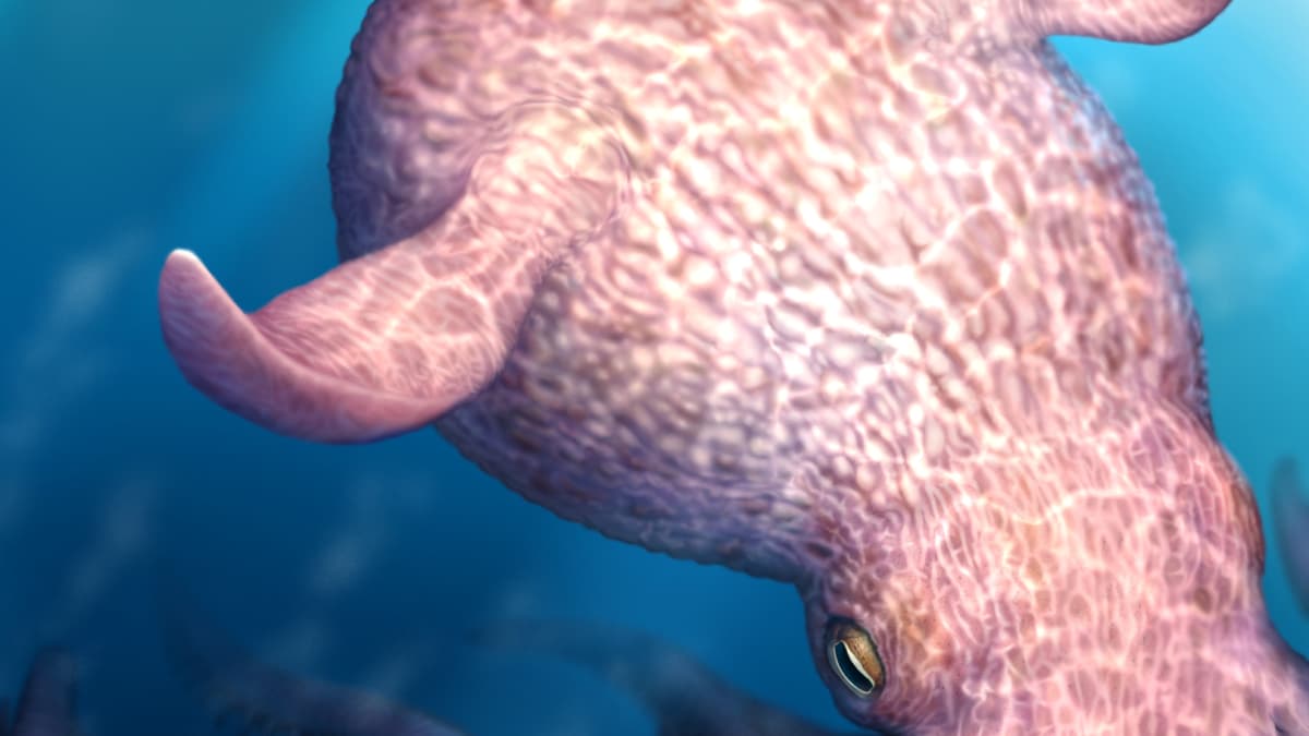 El terrorífico depredador alfa del Cretácico: un pulpo de 19 metros