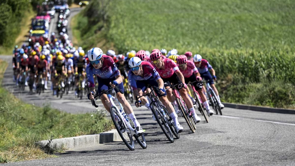 Escándalo ecologista en el Tour: la tala de 1.000 árboles en el Ballon d'Alsace desata la ira ecologista