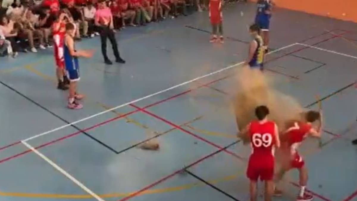 Cae un trozo de techo de un pabellón de Sevilla sobre un jugador de baloncesto en pleno partido