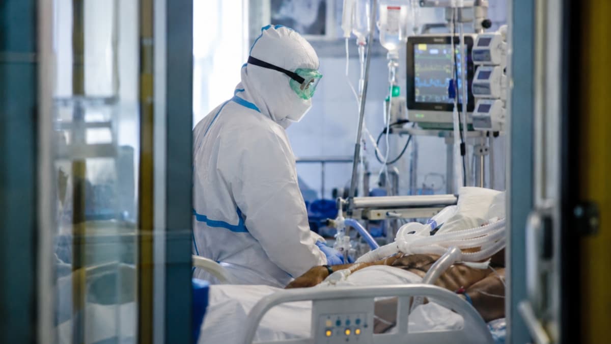 Así afrontaría Europa una pandemia de hantavirus: los errores que causarían otra emergencia