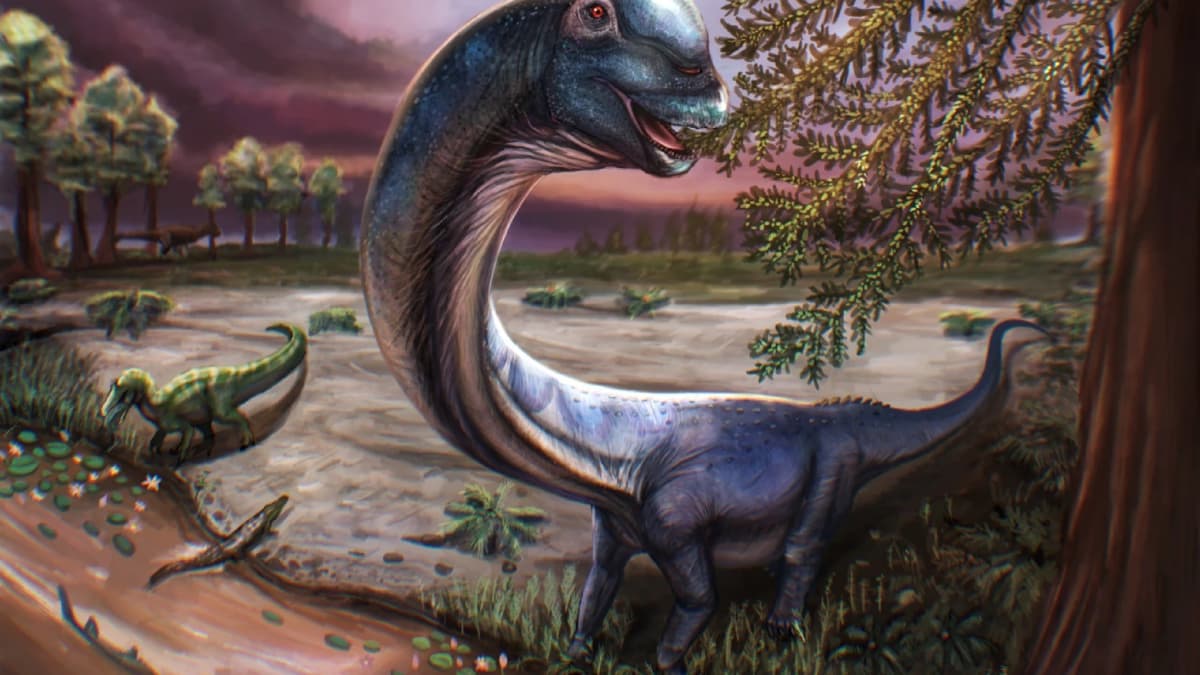 El Nagatitan, el dinosaurio de 28 toneladas y 27 metros que revoluciona la paleontología