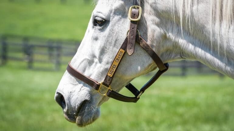 kentucky-derby-horse-racing