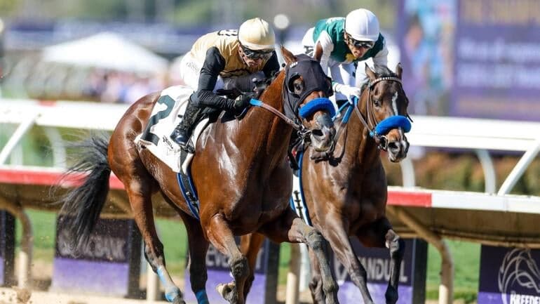 kentucky-derby-horse-racing