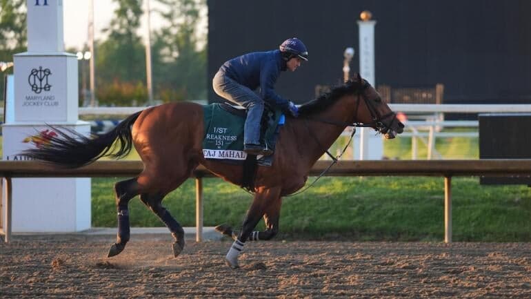 incredibolt-horse-racing