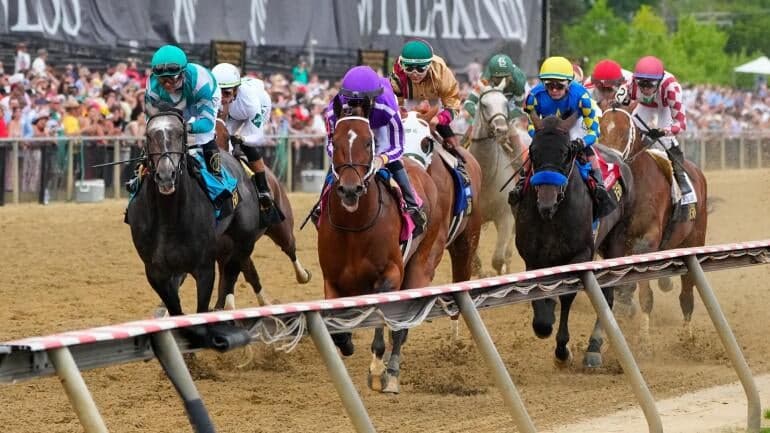 chip-honcho-preakness-stakes-horse-racing
