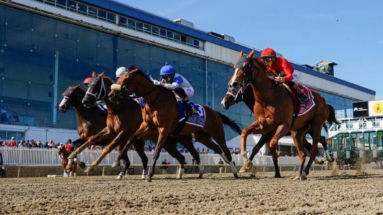 chip-honcho-preakness-stakes-horse-racing