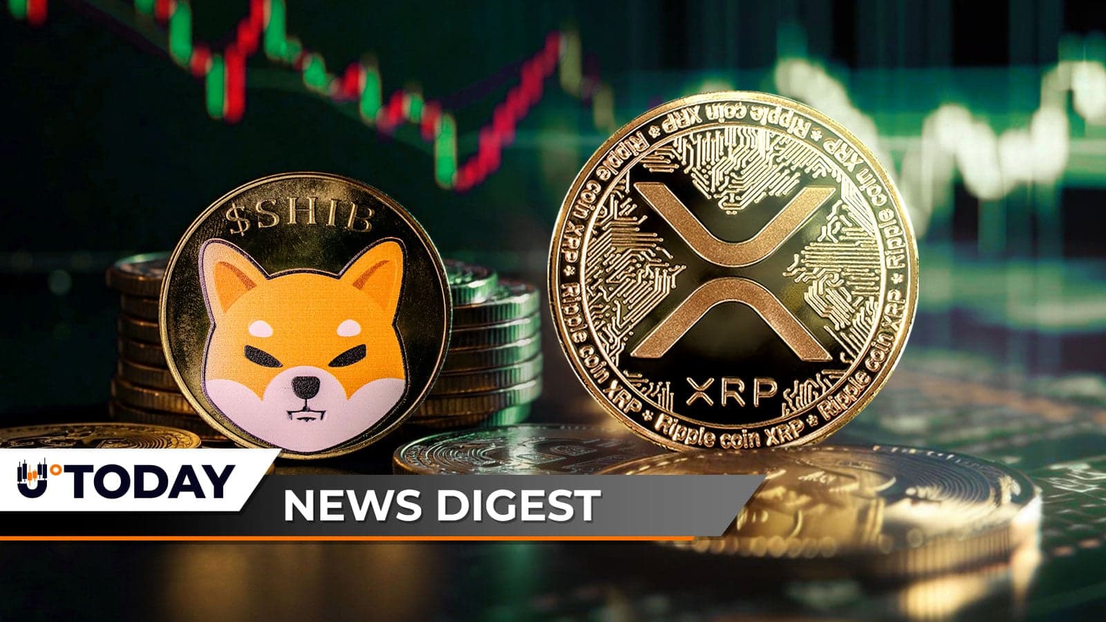 XRP Beats Bitcoin and Ethereum in ETF Flows, Shiba Inu Burn Rate Jumps 3,230%, Saylor Debunks Claims That Adam Back is Satoshi â U.Today Crypto Digest